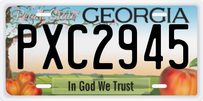 GA license plate PXC2945