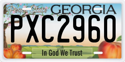 GA license plate PXC2960