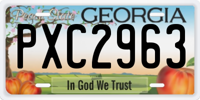 GA license plate PXC2963