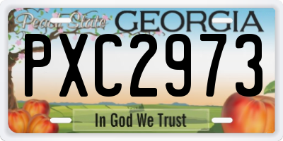 GA license plate PXC2973