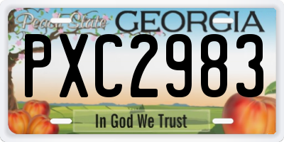 GA license plate PXC2983
