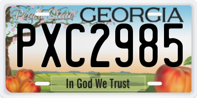 GA license plate PXC2985
