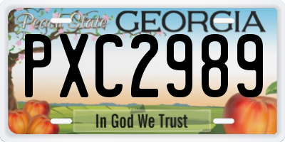 GA license plate PXC2989
