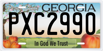 GA license plate PXC2990