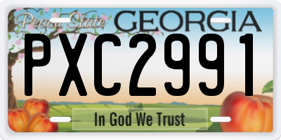 GA license plate PXC2991