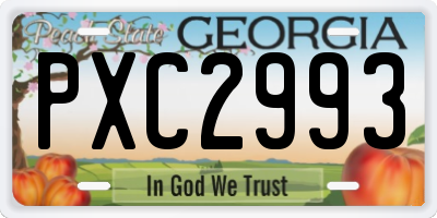 GA license plate PXC2993