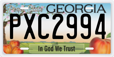 GA license plate PXC2994