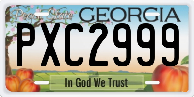 GA license plate PXC2999