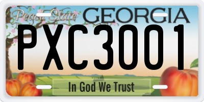 GA license plate PXC3001