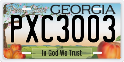 GA license plate PXC3003