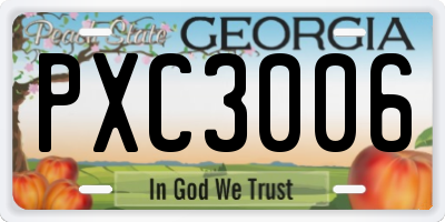 GA license plate PXC3006