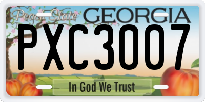 GA license plate PXC3007
