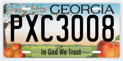 GA license plate PXC3008
