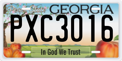 GA license plate PXC3016