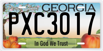 GA license plate PXC3017