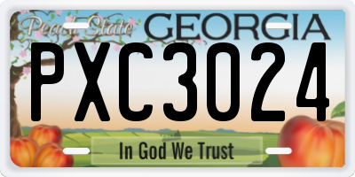 GA license plate PXC3024