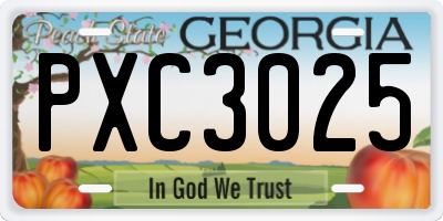 GA license plate PXC3025