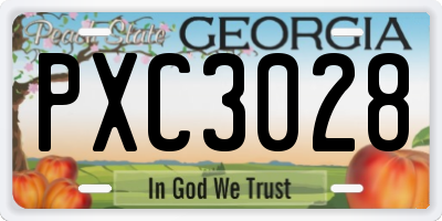 GA license plate PXC3028