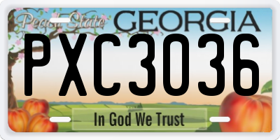 GA license plate PXC3036