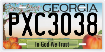 GA license plate PXC3038