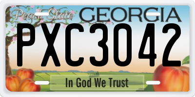 GA license plate PXC3042