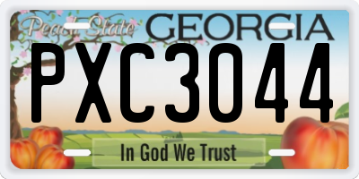 GA license plate PXC3044