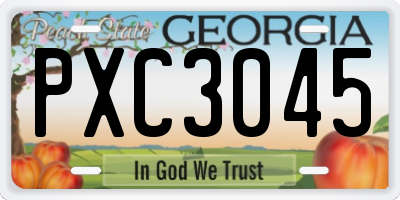 GA license plate PXC3045