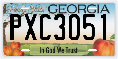 GA license plate PXC3051