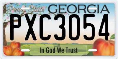 GA license plate PXC3054