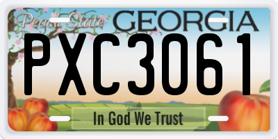 GA license plate PXC3061