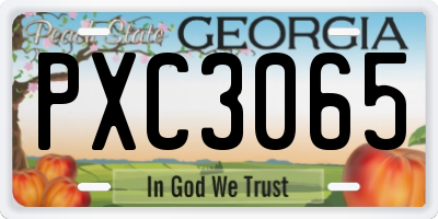 GA license plate PXC3065
