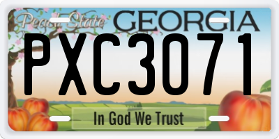 GA license plate PXC3071