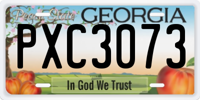 GA license plate PXC3073