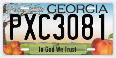 GA license plate PXC3081