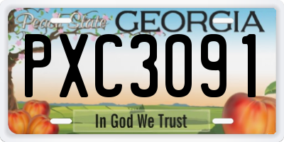 GA license plate PXC3091