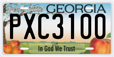 GA license plate PXC3100