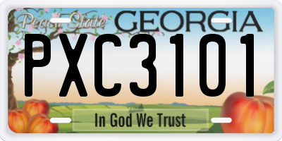 GA license plate PXC3101