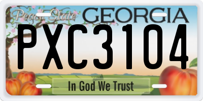GA license plate PXC3104