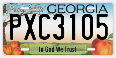 GA license plate PXC3105