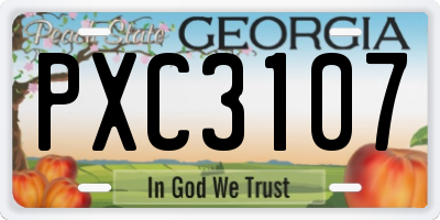 GA license plate PXC3107