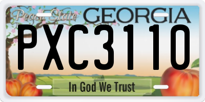GA license plate PXC3110