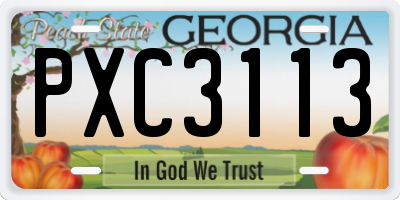 GA license plate PXC3113