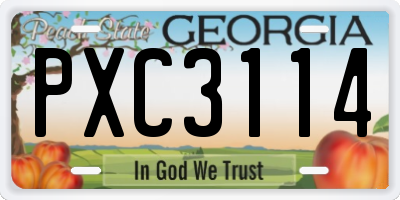 GA license plate PXC3114