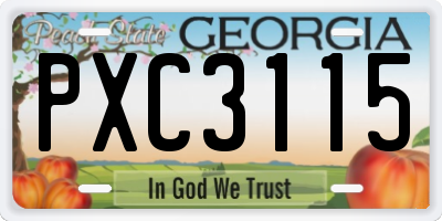 GA license plate PXC3115