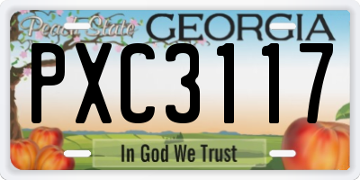 GA license plate PXC3117