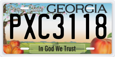 GA license plate PXC3118
