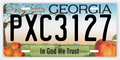 GA license plate PXC3127