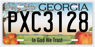 GA license plate PXC3128