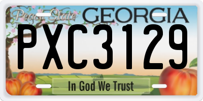 GA license plate PXC3129