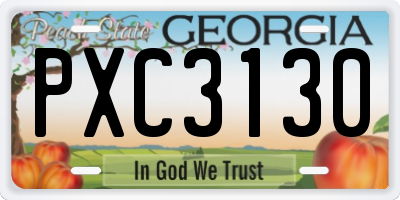 GA license plate PXC3130
